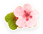 Cherry Blossom Series